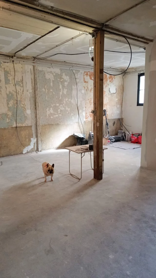 🧪 On a transformé ce garage rouennais en laboratoire de production! 

C’est en début d’année que la team s’est rapproché du centre ville et a pu créer un lieu de production à son image. J’ai envie de dire qu’il était temps! En effet en 3,5 année d’activité la team a déménagé 3 fois.

🖤C’est bien entouré qu’on a pu avancé : amis artisans merci ! Merci à toi Papa sans qui le résultat ne serait pas le même 

Un joli bureau, un espace de gustation, une belle cave pour stocker tout le matériel et un laboratoire ergonomique …

C’est parti la saison est lancée !